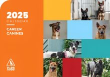 SOSD Calendar 2025 (SOLD OUT)