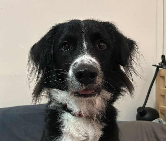 Lenny3