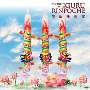 Prosperity Dragon Incense (12ft) 兴盛龙香