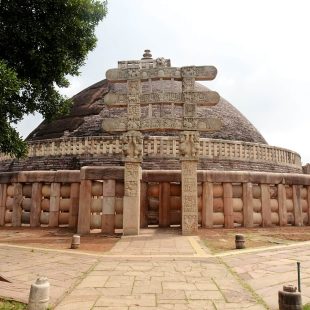 Donate - Ashoka Pillars Fund