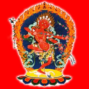 Kurukulle Yearly Light